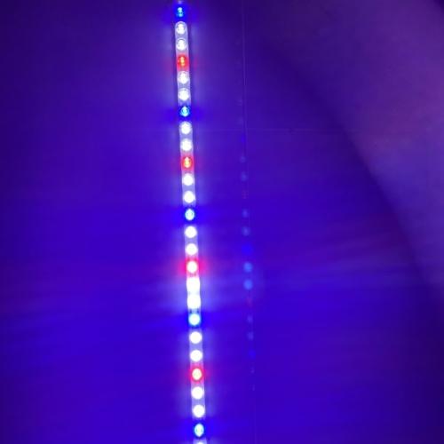 LED-akvariebelysning, farvespil - Perfekt til dit akvarium. Hurtig levering fra tildinfisk.dk.