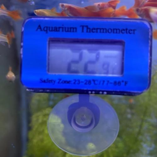 Præcist digitalt akvarie-termometer. Nem aflæsning, sikrer optimal vandtemperatur. Køb nu på tildinfisk.dk!