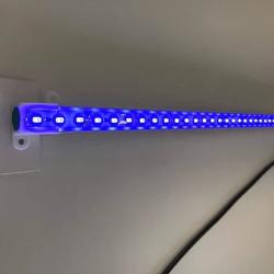 Blåt LED-lys til akvarium monteret i lampen, fremhæver farverne og understøtter planteliv i akvariet fra tildinfisk.dk.