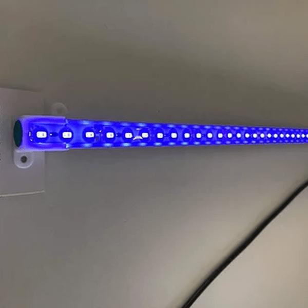 Blåt LED-lys til akvarium monteret i lampen, fremhæver farverne og understøtter planteliv i akvariet fra tildinfisk.dk.