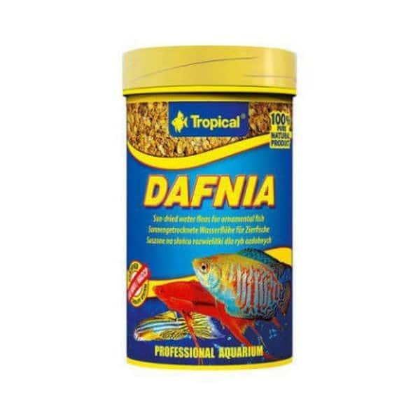 Dafnia foder til prydfisk. Høj kvalitet og næringsrigt. Køb nu på tildinfisk.dk - hurtig levering!