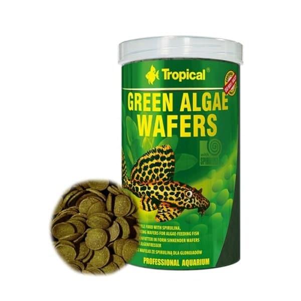 Grønne algevafler til bundfisk - næringsrig kost med spirulina. Hurtig levering fra tildinfisk.dk.