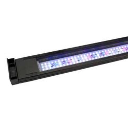 LED akvariebelysning - energieffektivt & klart lys til akvarier. Køb nu på tildinfisk.dk.