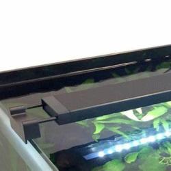 LED-akvariebelysning - energieffektiv og klart lys til dit akvarium. Hurtig levering fra tildinfisk.dk.