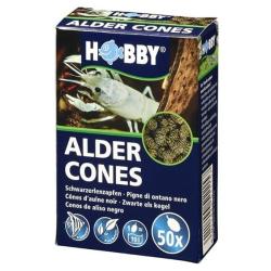 Alder Cones til akvarier - naturlig vandpleje og dekoration. Køb nu på tildinfisk.dk.