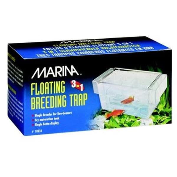 Marina ynglekasse - sikker opdræt i akvariet. Hurtig levering fra tildinfisk.dk!