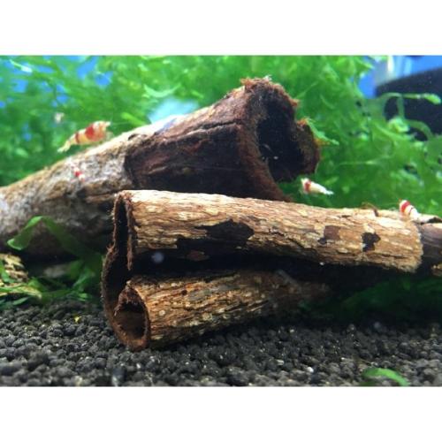 Naturlige akvarie-rødder til skjul. Fås på tildinfisk.dk – skab et unikt miljø!
