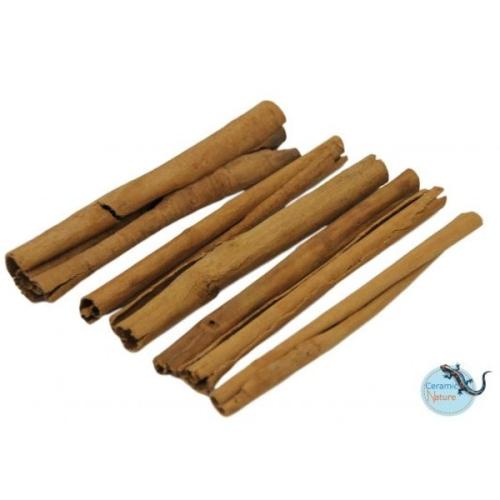 Kanelstænger til akvarier - skaber naturlige skjulesteder for fisk. Hurtig levering fra tildinfisk.dk!