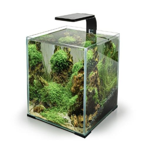 Nano akvarium med LED-lys – Perfekt til småfisk & rejer. Hurtig levering fra tildinfisk.dk!