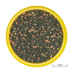 Højkvalitets fiskefoder med vitamintilsæt - perfekt for sunde akvariefisk. Hurtig levering fra tildinfisk.dk!