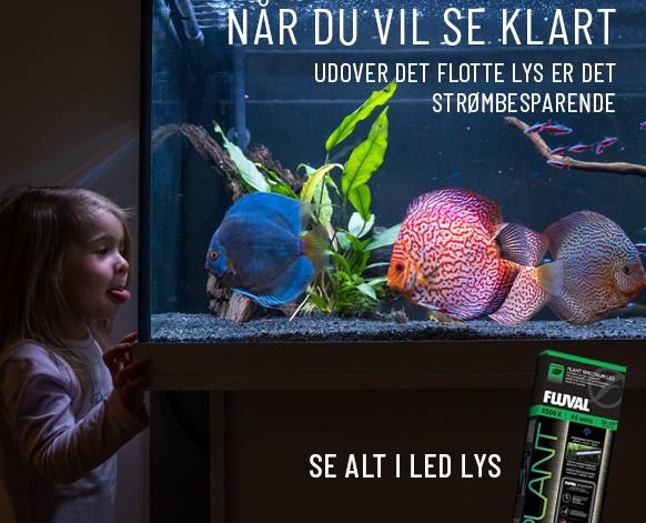 Flotte LED lys til akvarier