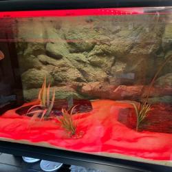Aquarium med rødt sand, kunstige planter og stenbaggrund, perfekt til at skabe et naturligt miljø i dit akvarie fra tildinfisk.dk.