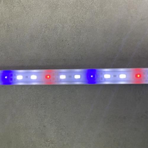 LED-akvariebelysning med røde og blå lysdioder imod en grå baggrund, ideel til fremhævelse af akvarieplanternes og fiskens farver.