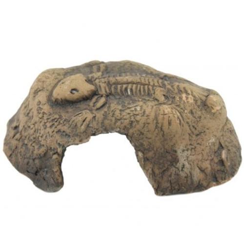 Dekorativ akvariehule formet som en fossil med en udspringende fiskeskelet, perfekt til stemning i ethvert akvarium.