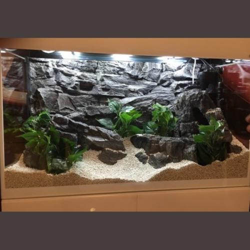Et fuldt udstyret akvarium med naturtro klippeudsmykning og levende akvatiske planter, optimalt belyst. Perfekt til akvarieentusiaster.