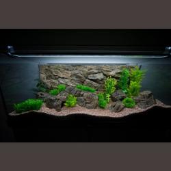 Opstillet akvarium med LED-belysning, kunstige planter og stenbaggrund, perfekt til inspiration hos tildinfisk.dk.