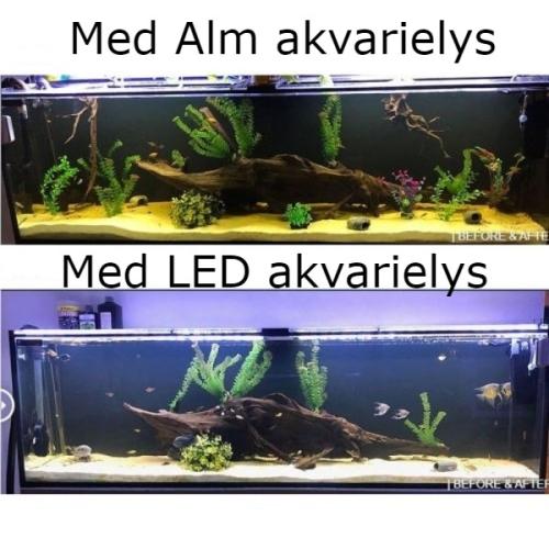 Sammenligning af to akvarier med forskelligt lys: Øverst almindeligt lys og nederst LED-lys. Viser effekten på akvarieindretning.