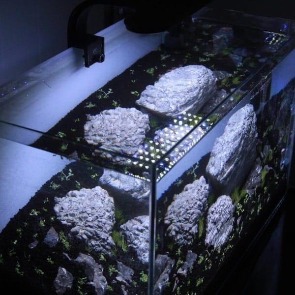 Et akvarie med LED-belysning, der viser en opstilling med sten og nyplantede akvarieplanter til en naturlig akvaskaping.