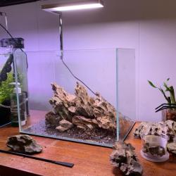 Tomt akvarium i opstart med rødder og substrat klar til beplantning, perfekt tilbehør fra tildinfisk.dk til entusiaster.