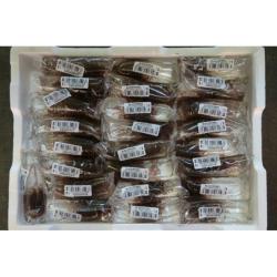 Levende Blackworms. Et super supplement til akvariefisk