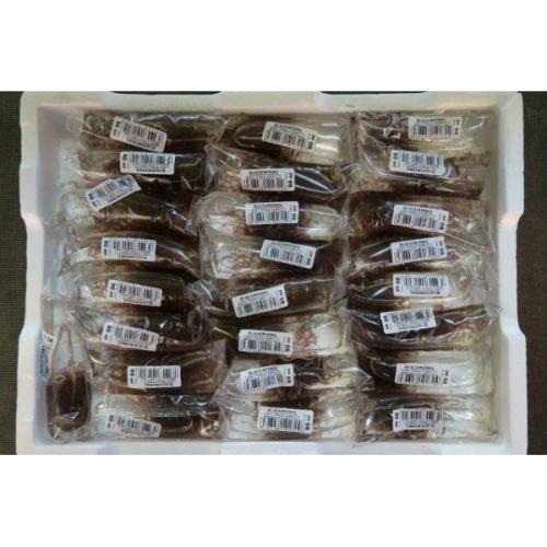Levende Blackworms. Et super supplement til akvariefisk