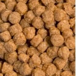 Fiskefoder pellets i nærbillede til optimal ernæring af akvariefisk, fås hos tildinfisk.dk med hurtig 1-2 dages levering.