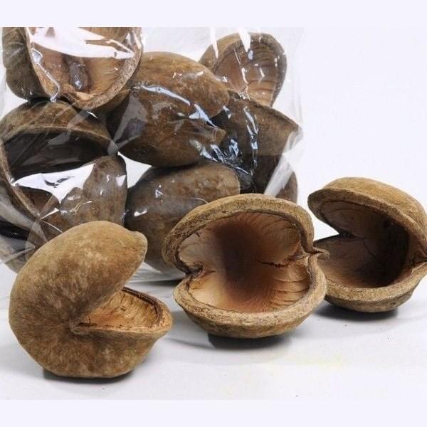 Coco Cave - Naturlig skjul til akvariefisk og rejer
