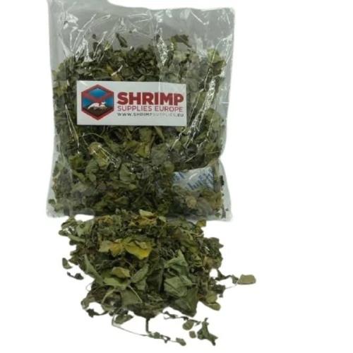 Mulberry-blade til rejer, naturligt kosttilskud.