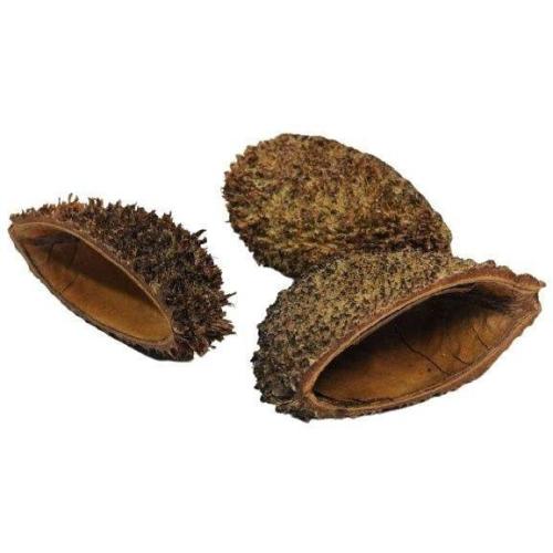 Natur-huler til akvariefisk, øko-venlige og sikre.