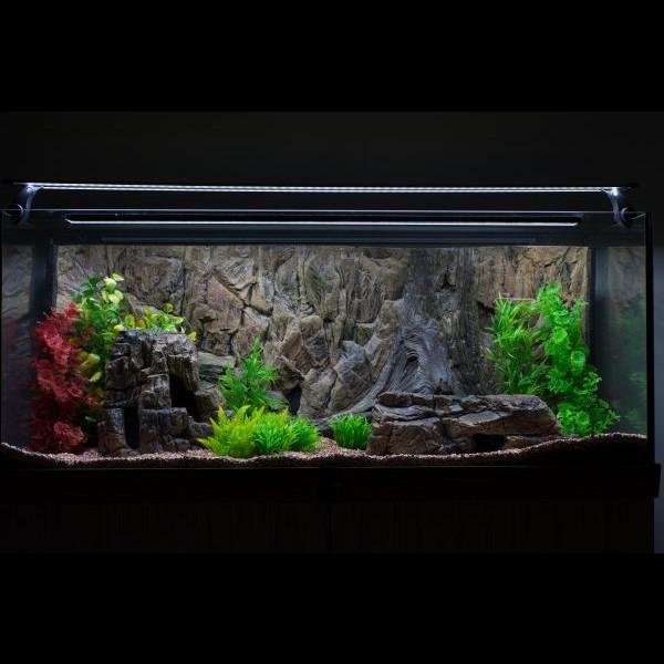 Velindrettet akvarium med LED-belysning og livlige planter.