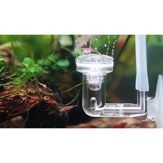 CO2-diffusor til akvarier, effektiv og klar.