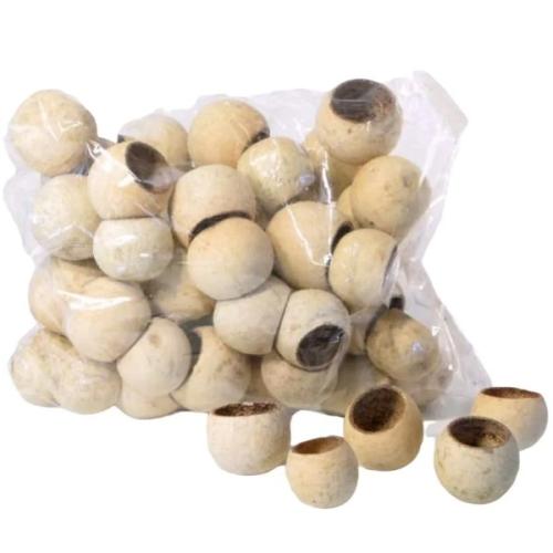  Shrimp Supplies Bell cup til akvariefiltrering, naturlige.