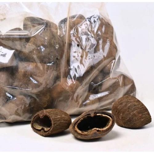 Kokosnøddeskaller til akvariedekoration