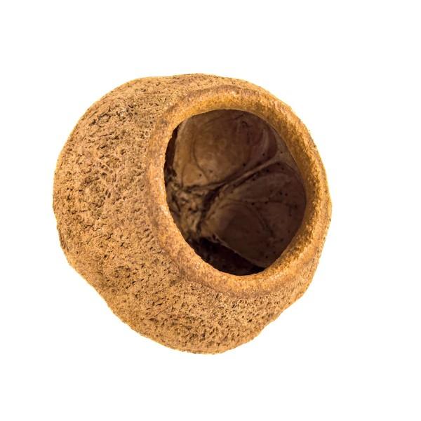Kokosnødhule til akvariefisk - 100% naturlig.
