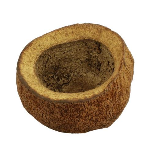 Kokosnøddehule til akvariefisk. Naturligt skjul.