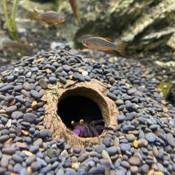 CeramicNature Iglu hule