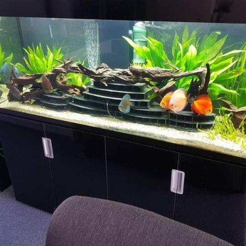 Lige Skifer Mallehotel 3 etager