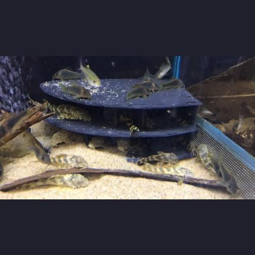 Højre Skiferhjørne Mallehotel 2 etager