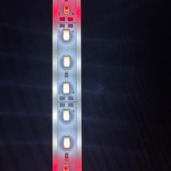 LED-belysningsstrimmel til akvarier, med hvidt og rødt lys perfekt til at fremhæve akvarieindretning, planter og fisk fra tildinfisk.dk.