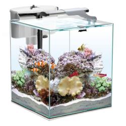 AquaEL NANO REEF