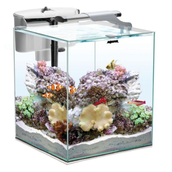 AquaEL NANO REEF