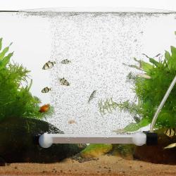 Forbedrer iltning og gasudveksling – vigtigt for både fisk og planter