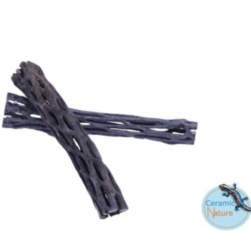 Kaktusskelet fyldt med mineraler og gemmesteder