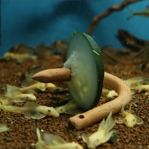 Keramisk foderpind fra CeramicNature – til akvarie og terrarie