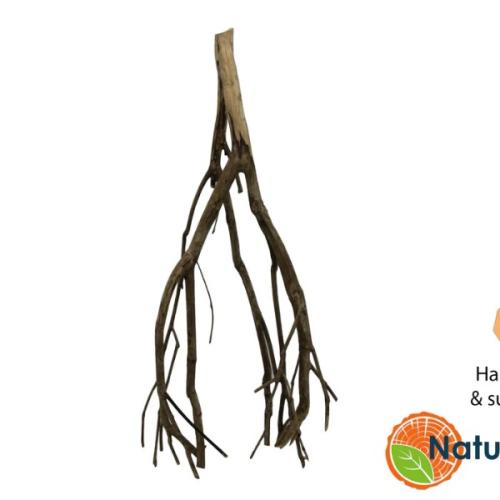 Talawa Wood gren til akvarium – naturlig dekoration til aquascaping og terrarieindretning