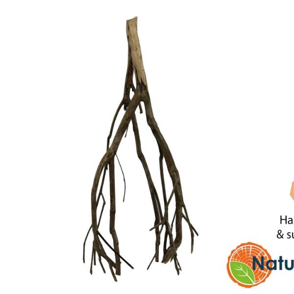 Talawa Wood gren til akvarium – naturlig dekoration til aquascaping og terrarieindretning