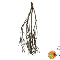 Naturligt Talawa Wood – smalle grene til akvarier, terrarier og paludarier
