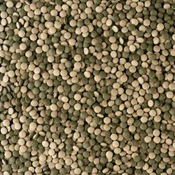 Tetra Pleco 275 tabletter