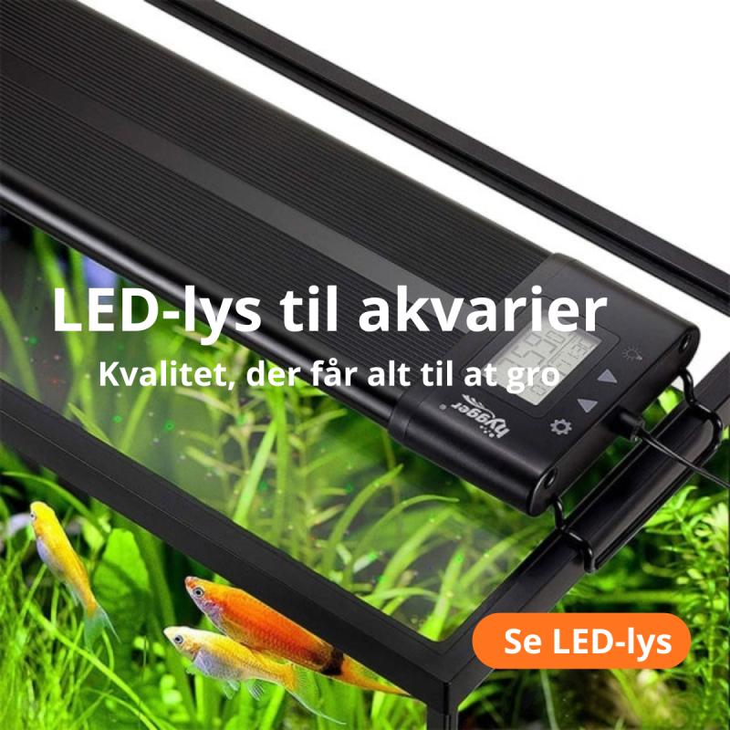 LED akvarielys