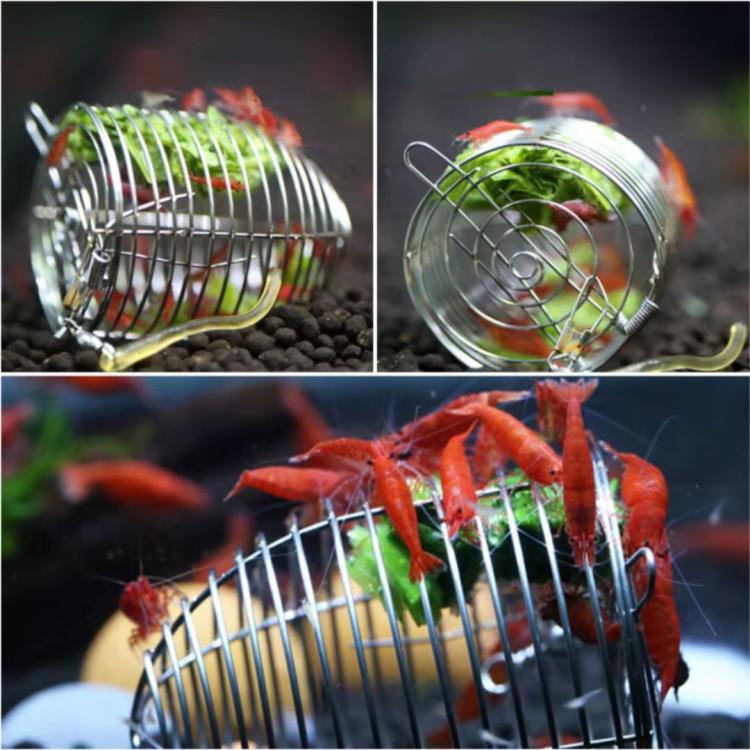 Shrimp Feeding Net Small med røde rejer i akvarium